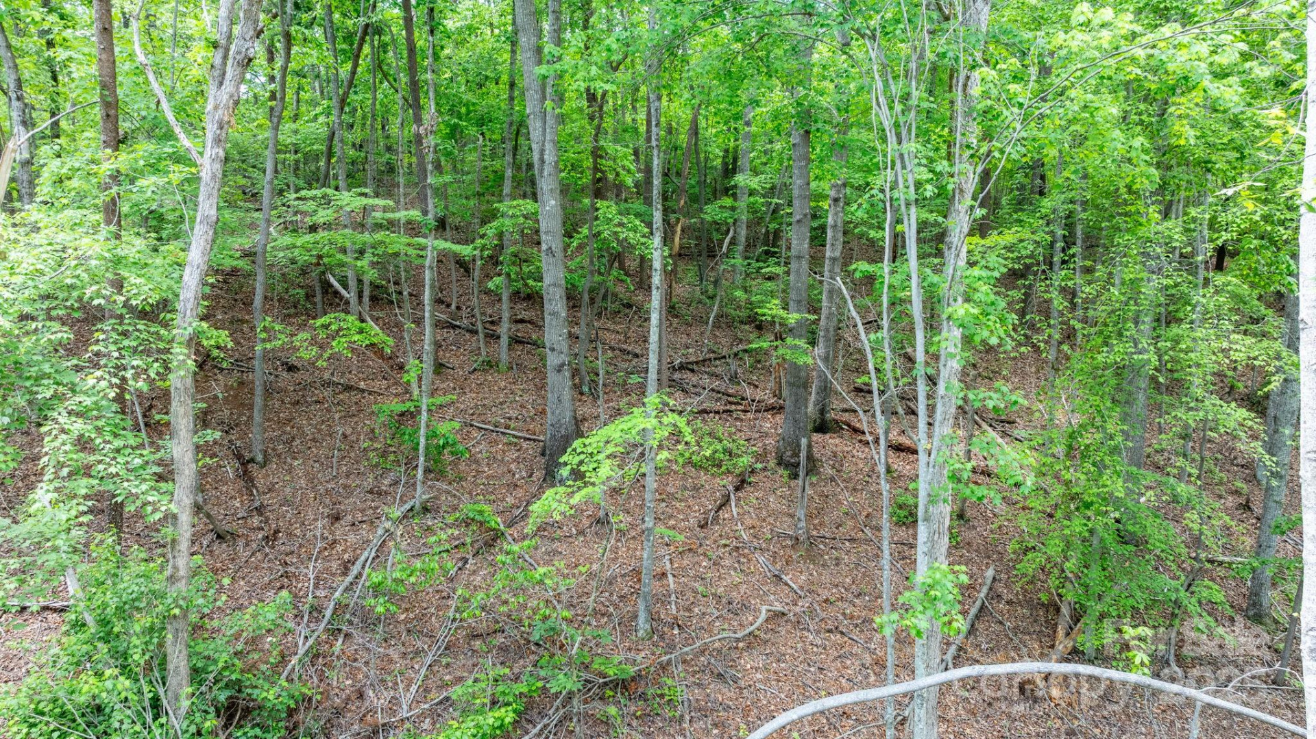 TBD Darrow Drive #95 - Photo 23