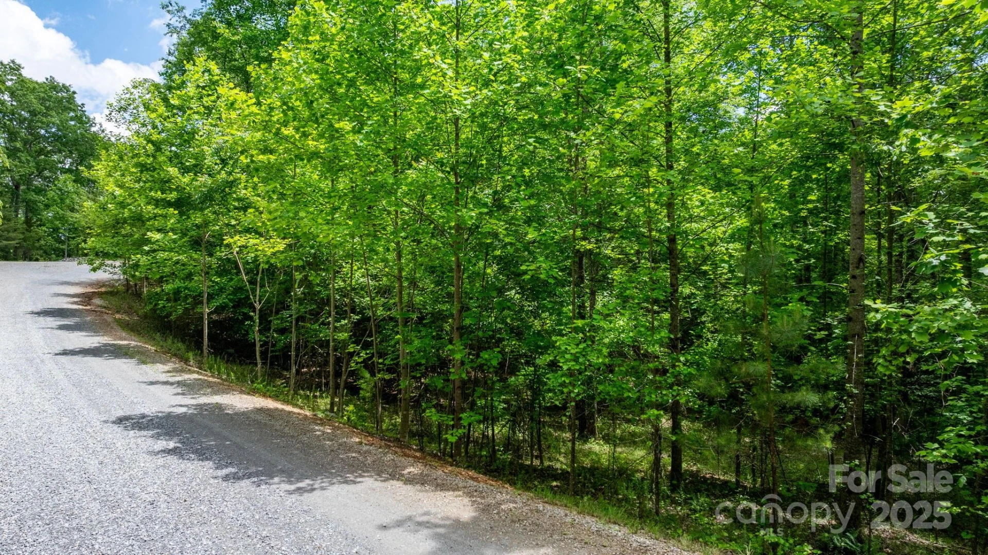 TBD Darrow Drive #95 - Photo 24