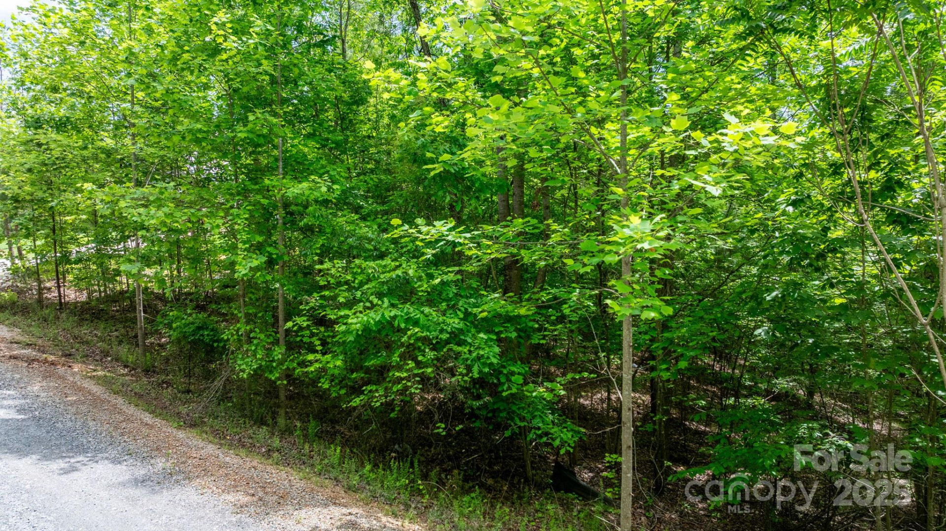 TBD Darrow Drive #95 - Photo 25