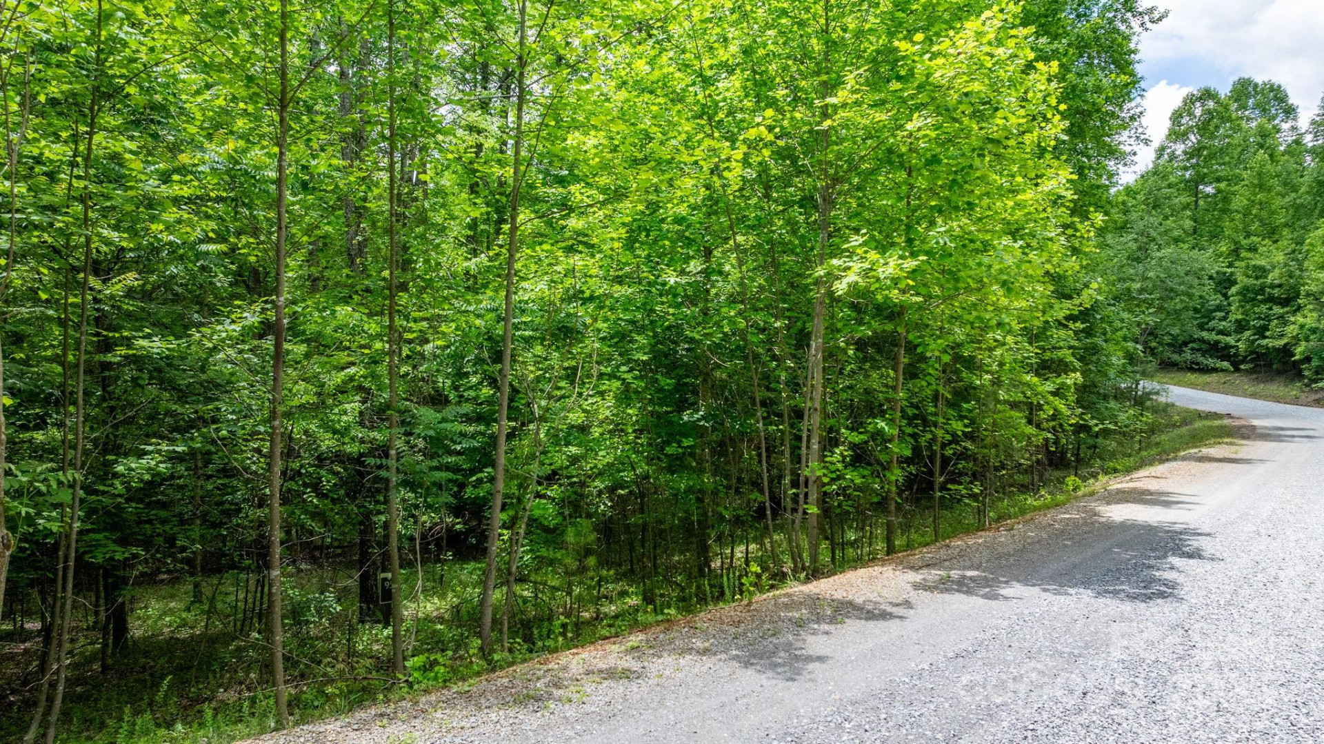 TBD Darrow Drive #95 - Photo 27