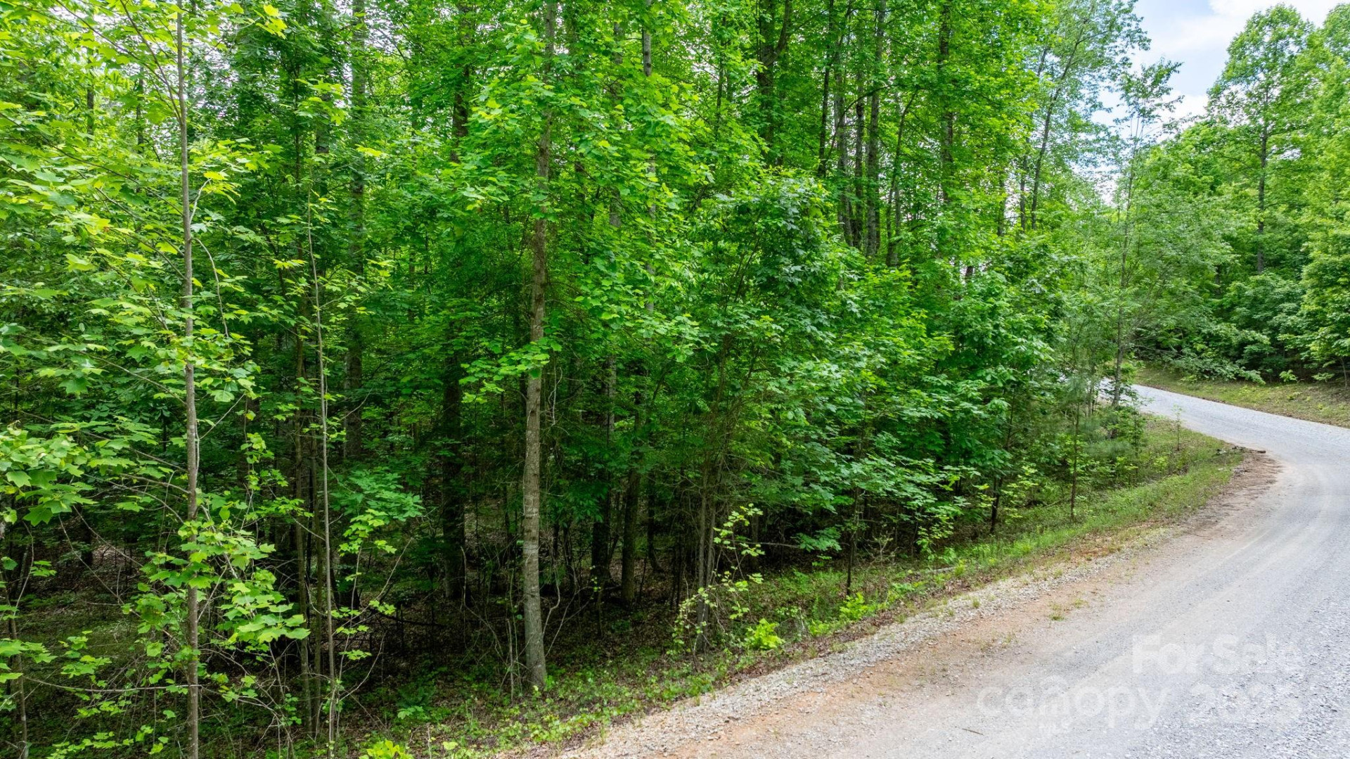 TBD Darrow Drive #95 - Photo 28