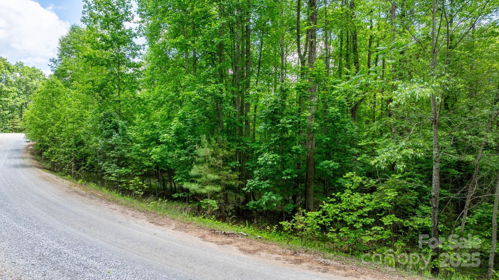 TBD Darrow Drive #95 - Photo 29