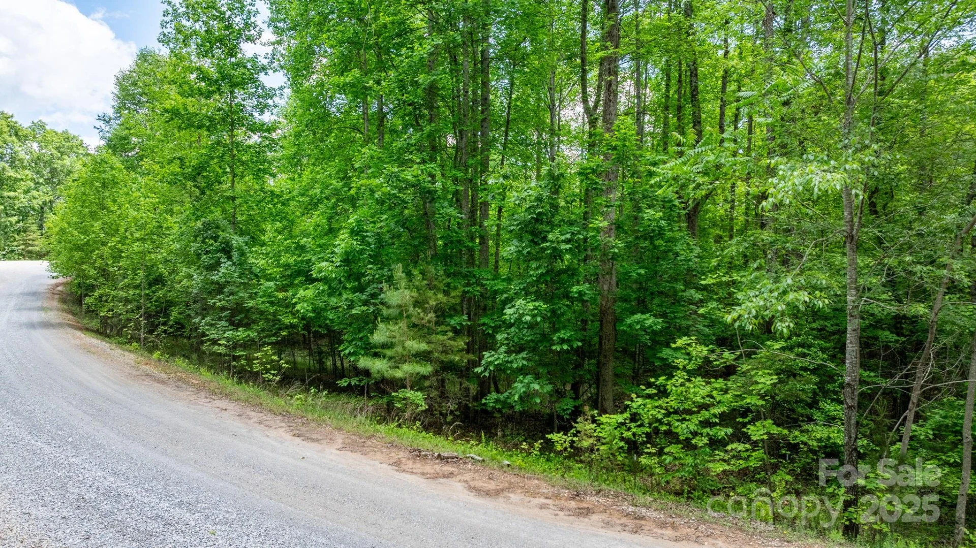 TBD Darrow Drive #95 - Photo 29