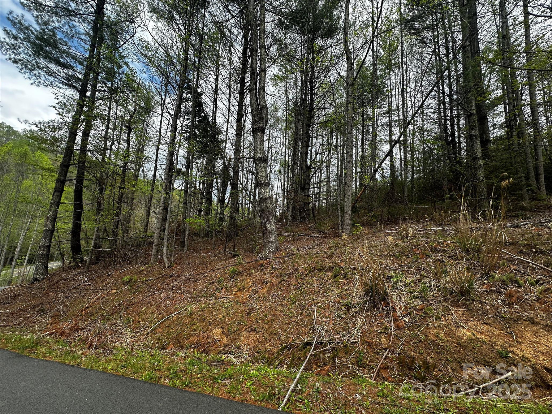 00 Ashland mountain Road - Photo 2