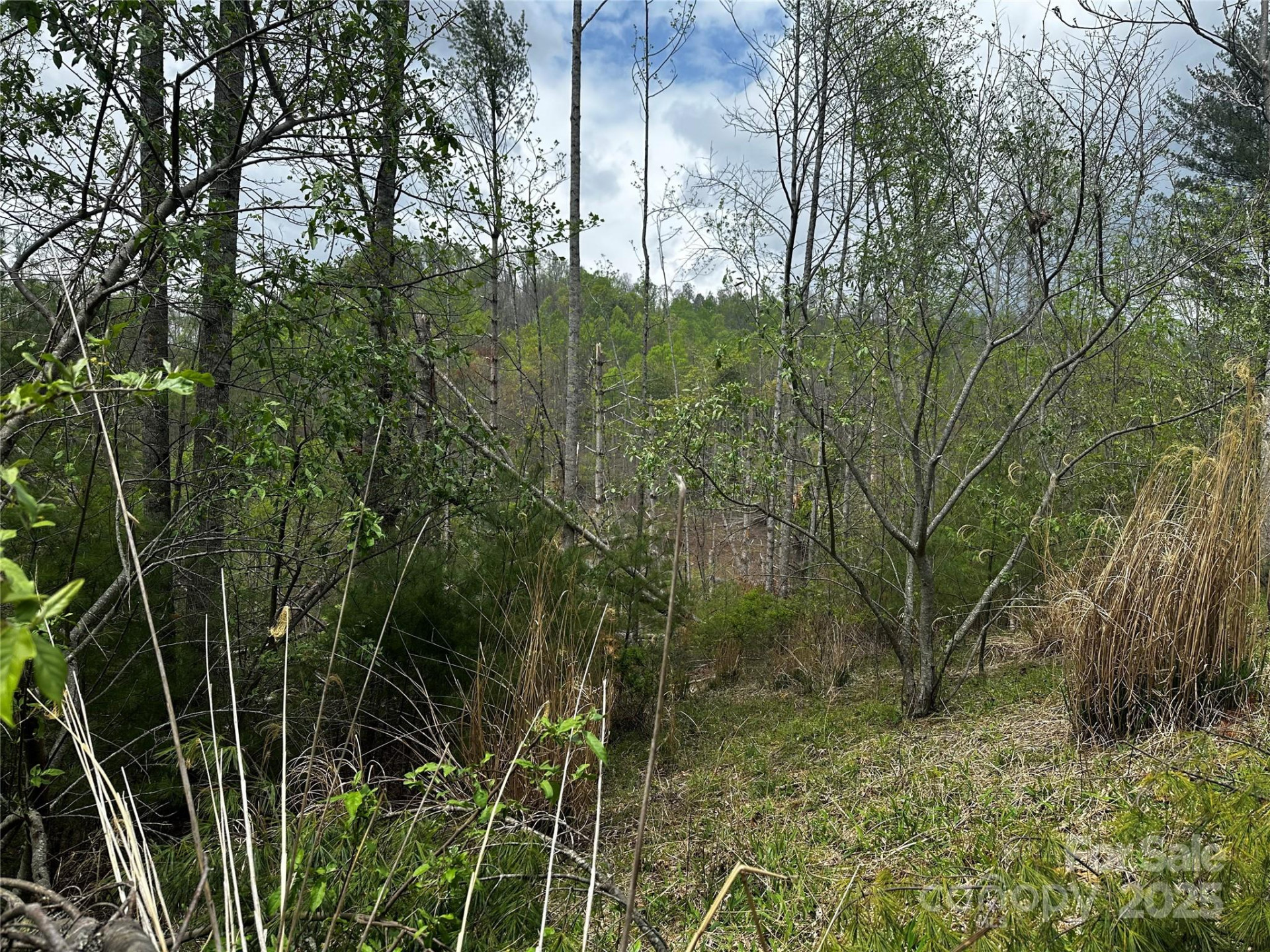 00 Ashland mountain Road - Photo 12