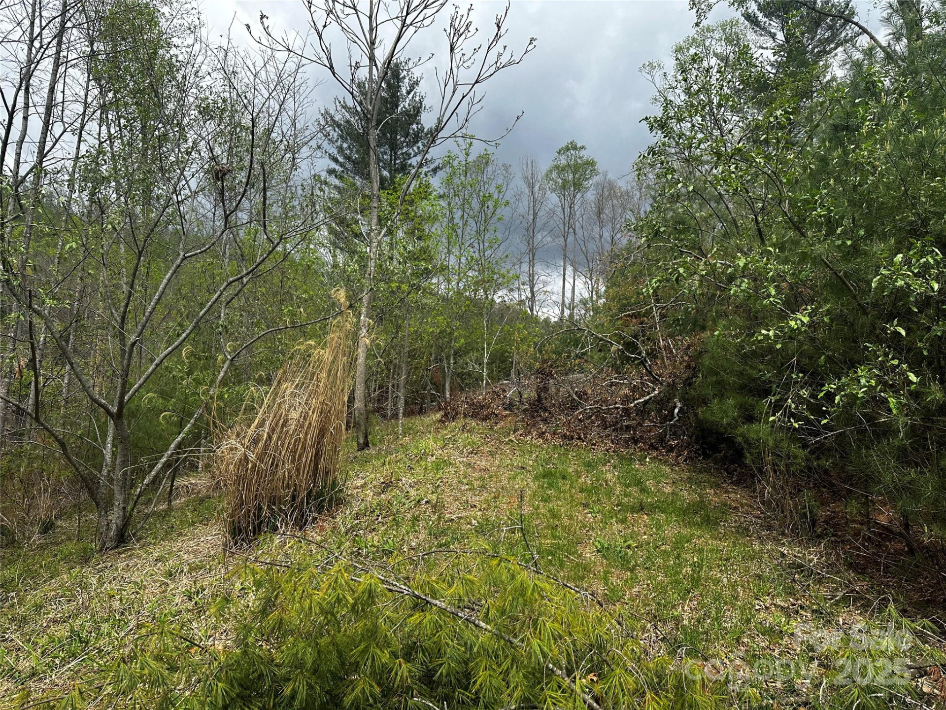 00 Ashland mountain Road - Photo 3