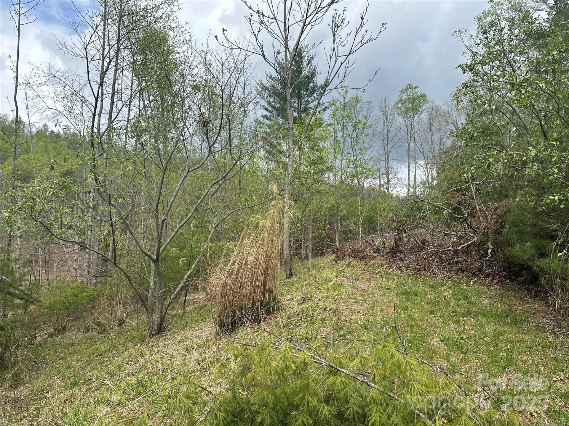 00 Ashland mountain Road - Photo 4