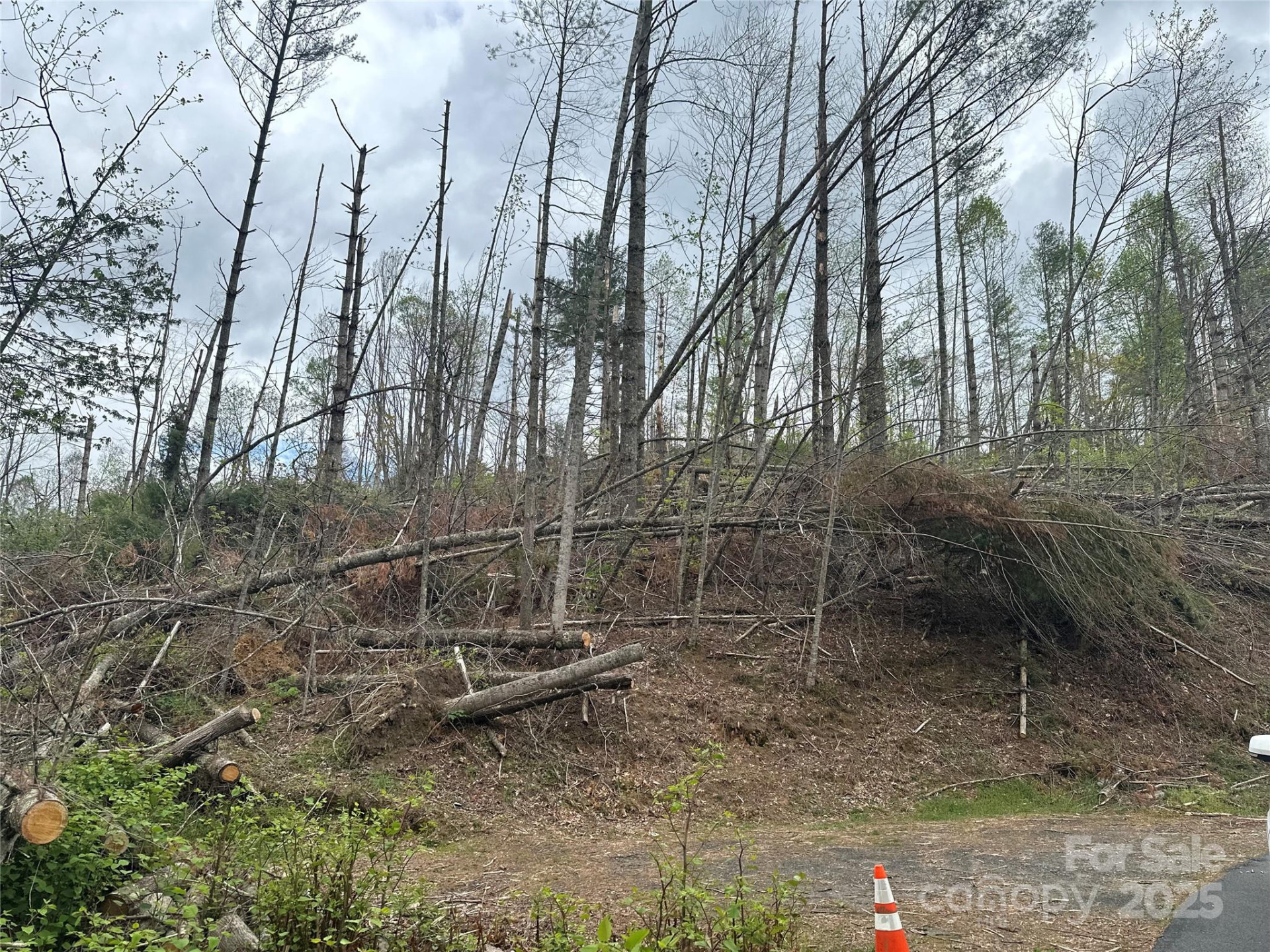 00 Ashland mountain Road - Photo 7