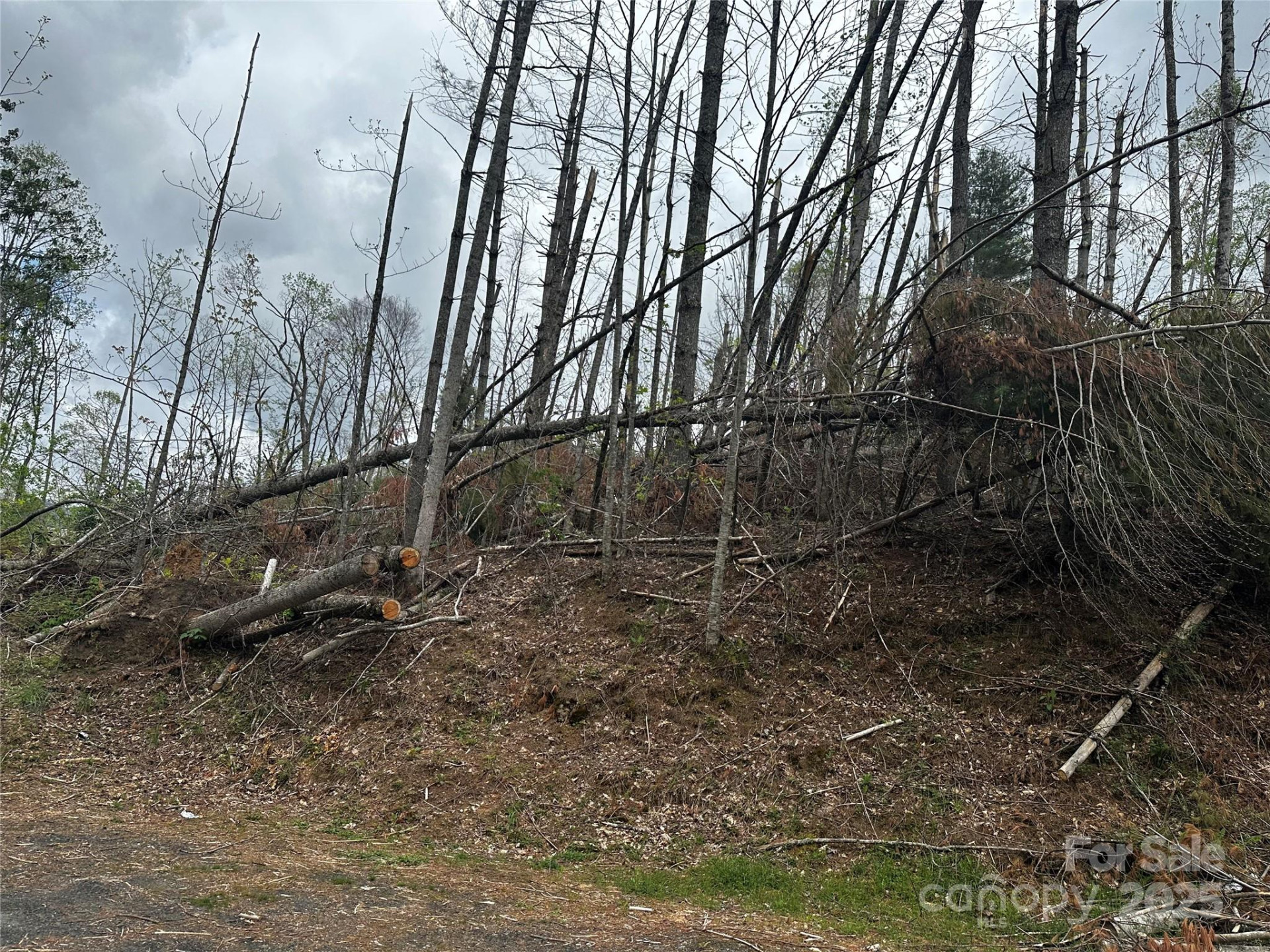 00 Ashland mountain Road - Photo 9