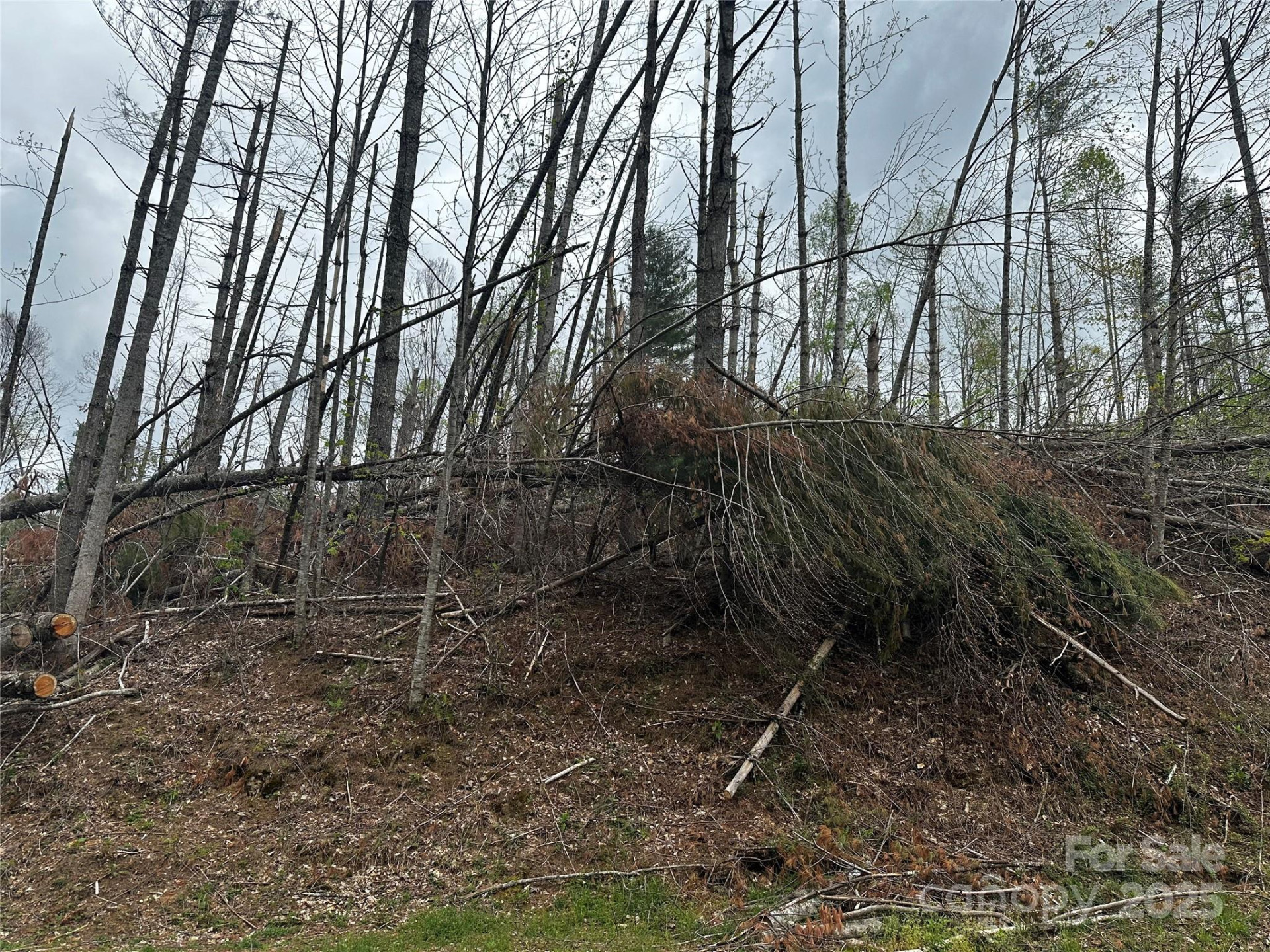 00 Ashland mountain Road - Photo 10