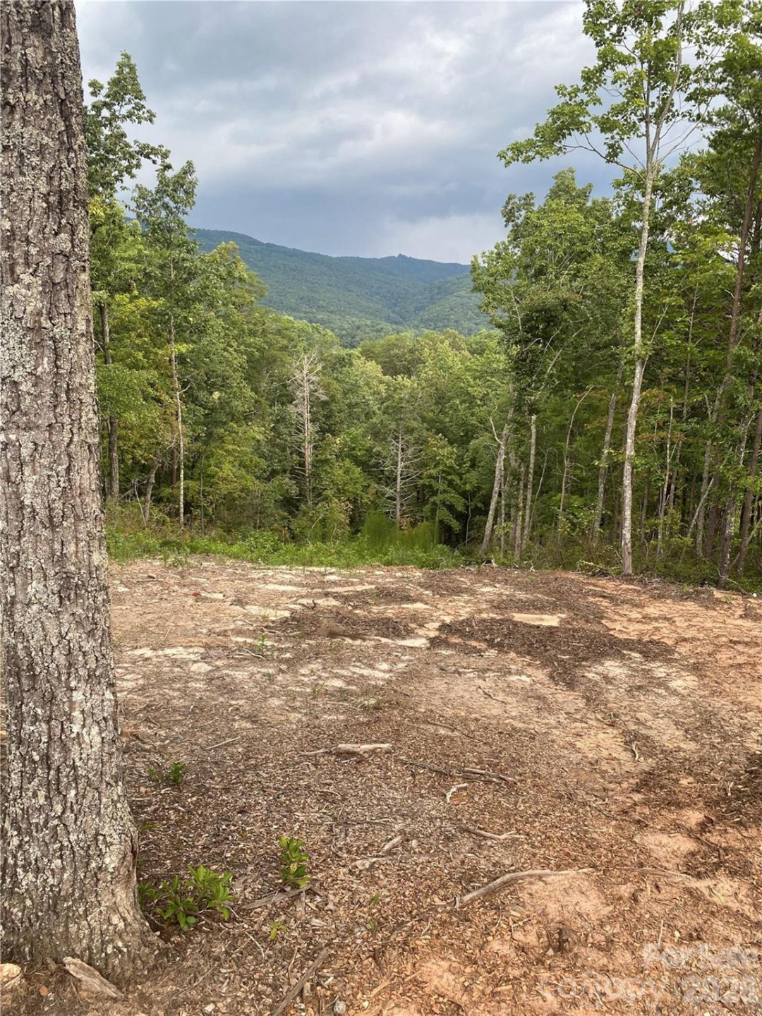 2 Jackson Ridge Lane - Photo 5