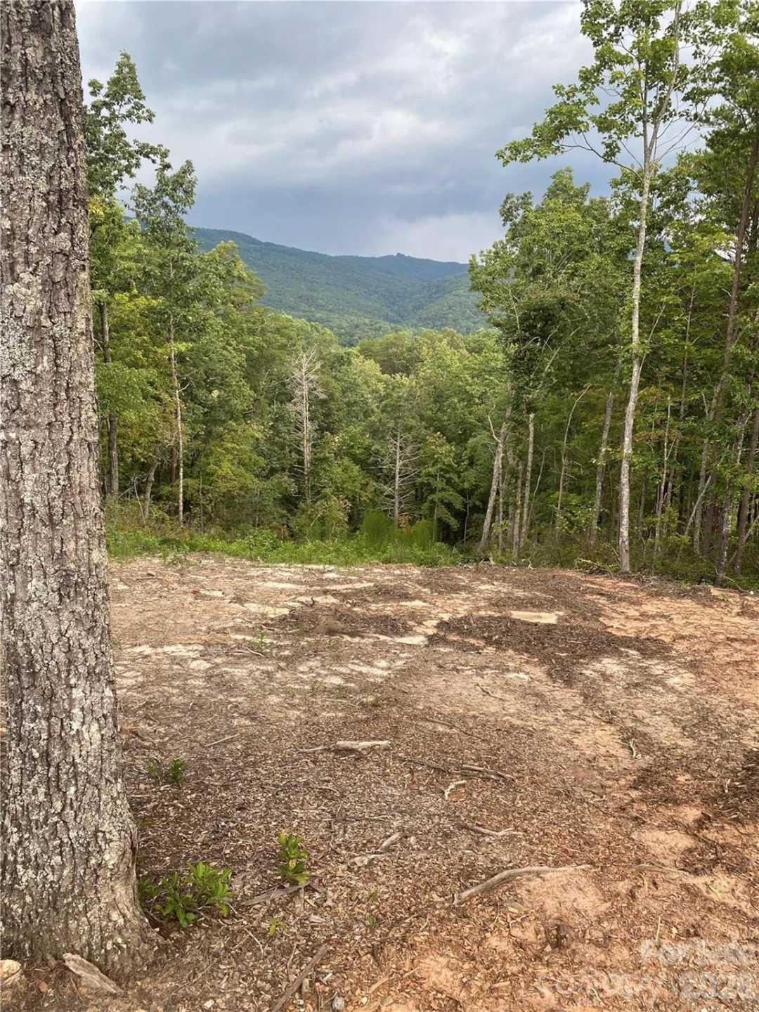 2 Jackson Ridge Lane - Photo 5