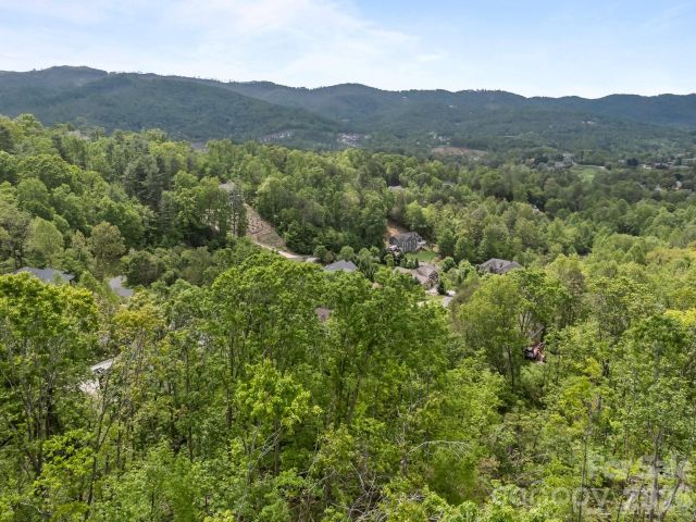 46 Hawtree Court, Weaverville, NC, 28787
