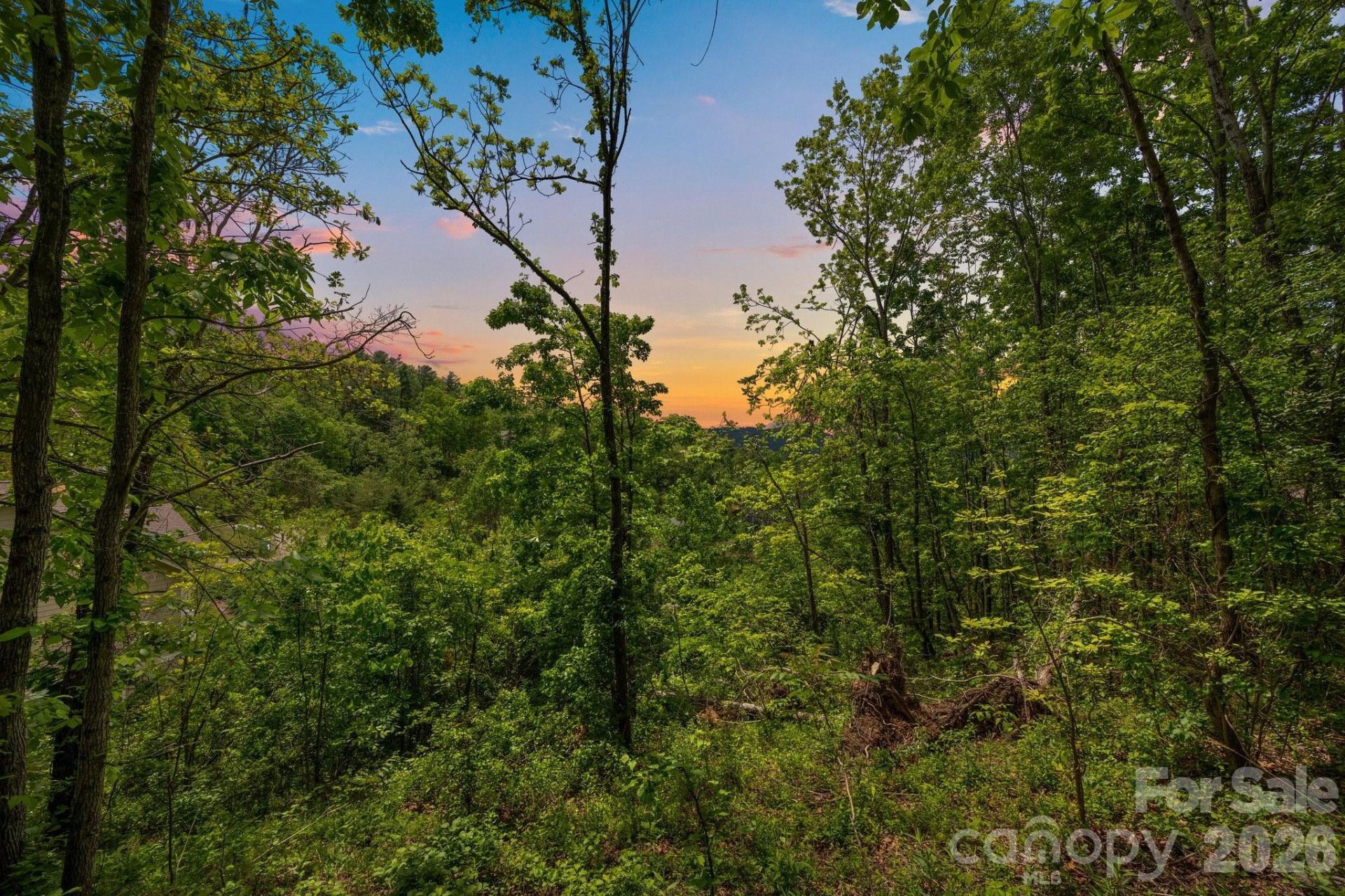 46 Hawtree Court #255 - Photo 2