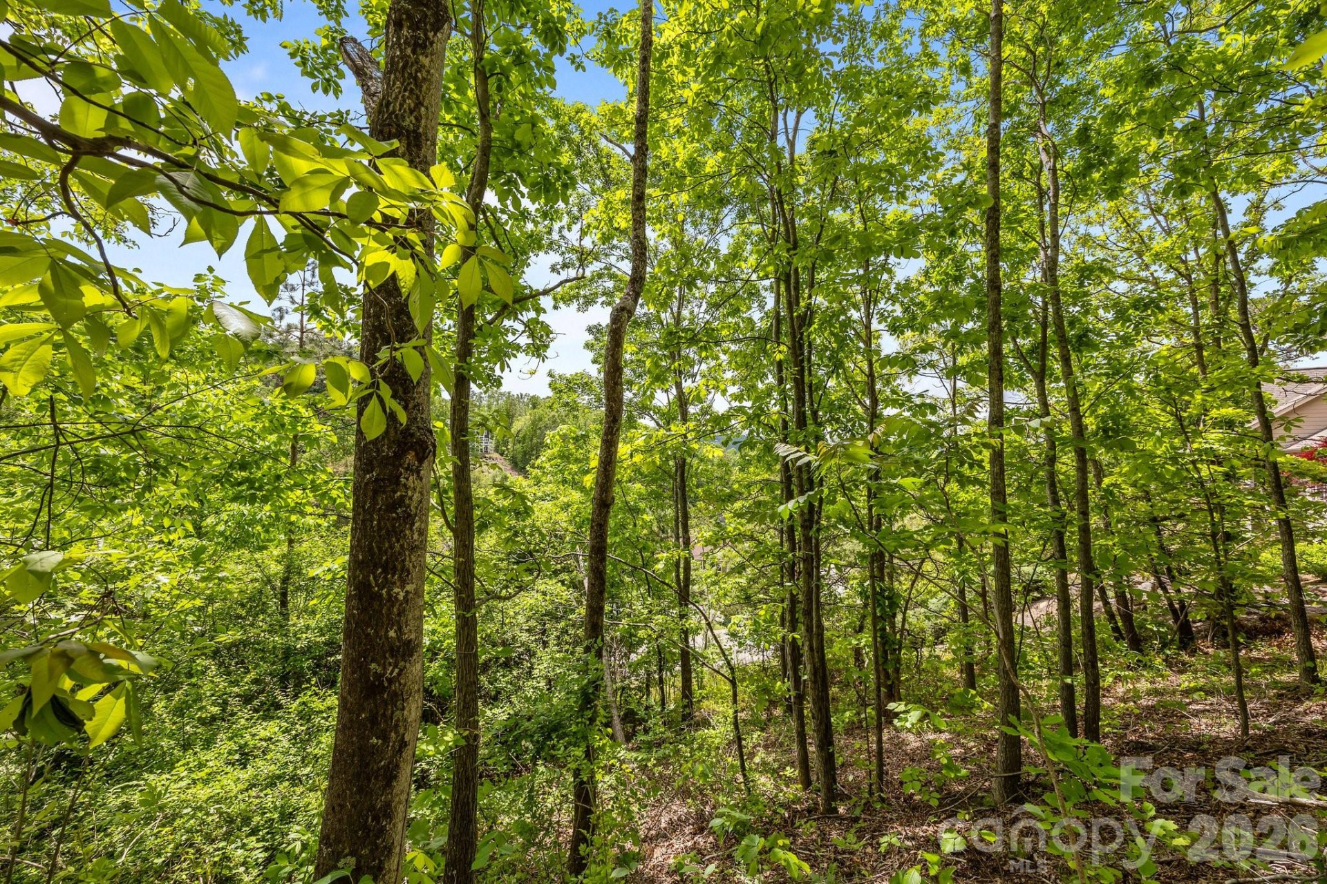 46 Hawtree Court #255 - Photo 19