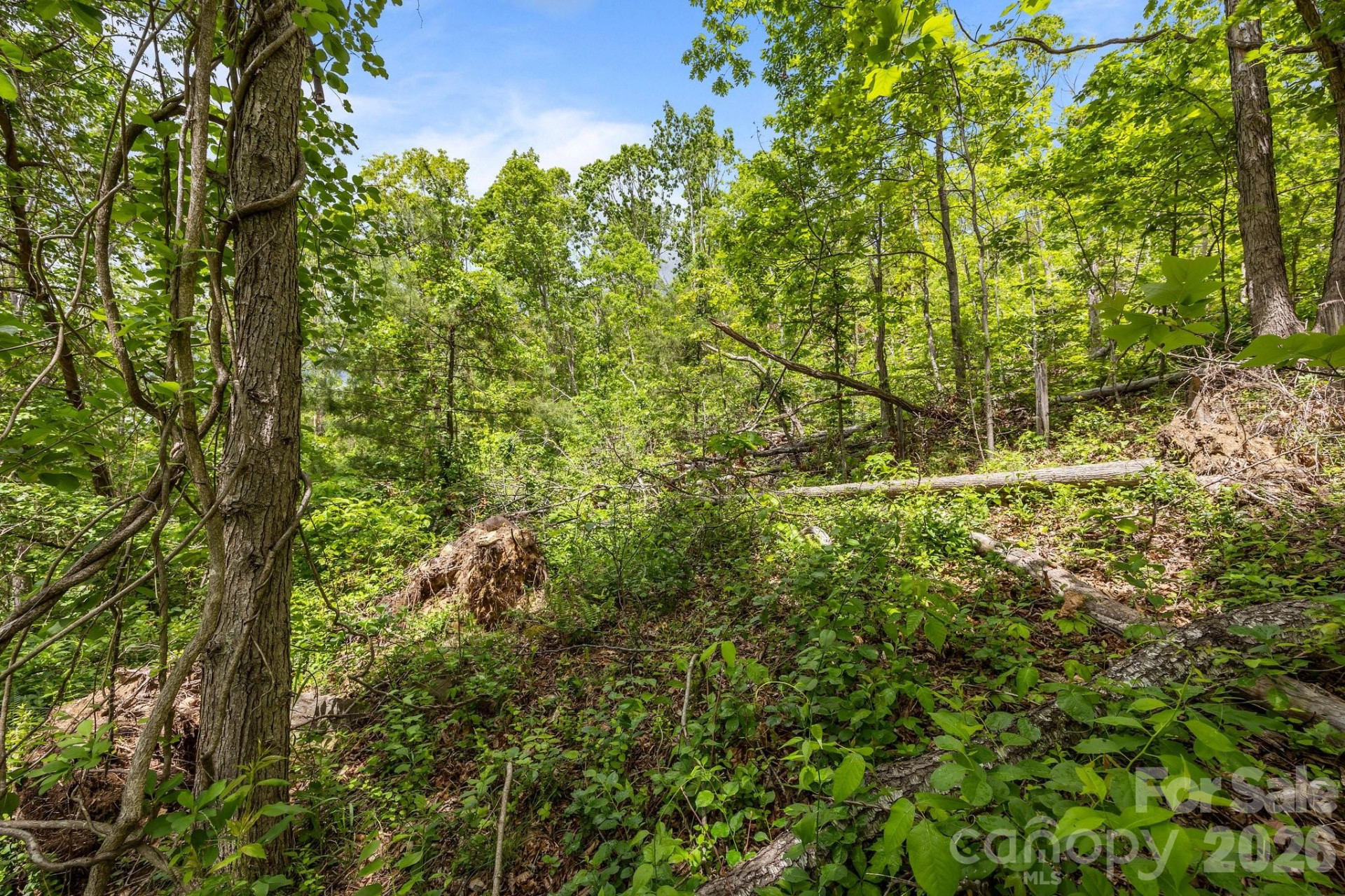 46 Hawtree Court #255 - Photo 20