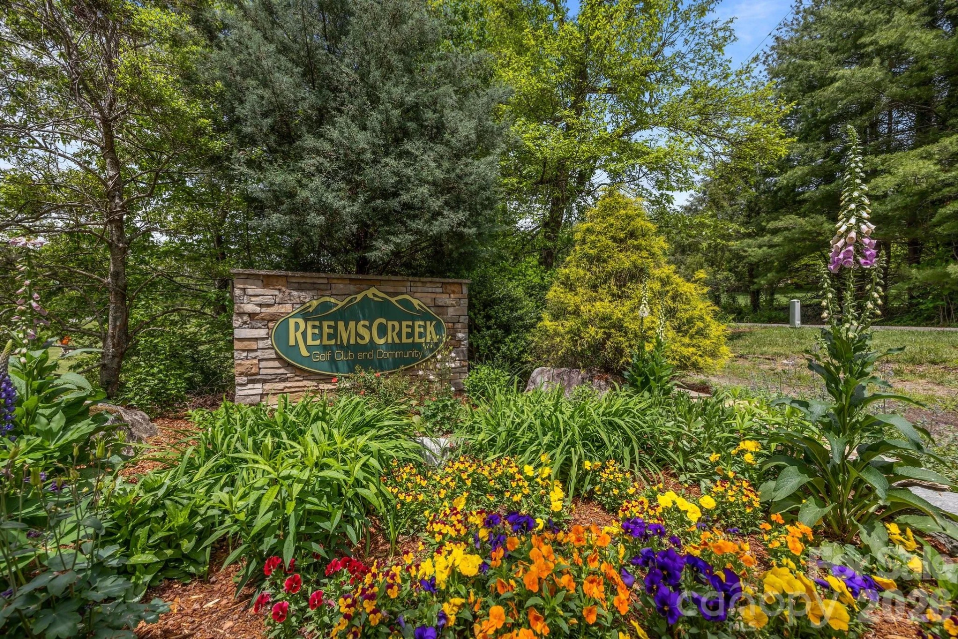 46 Hawtree Court #255 - Photo 6