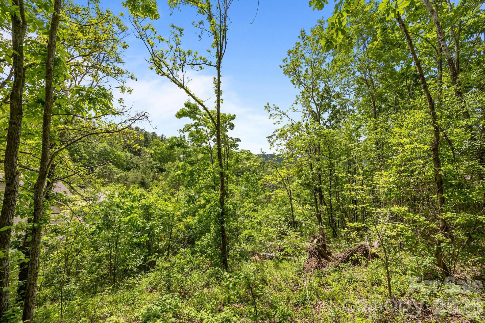 46 Hawtree Court #255 - Photo 10