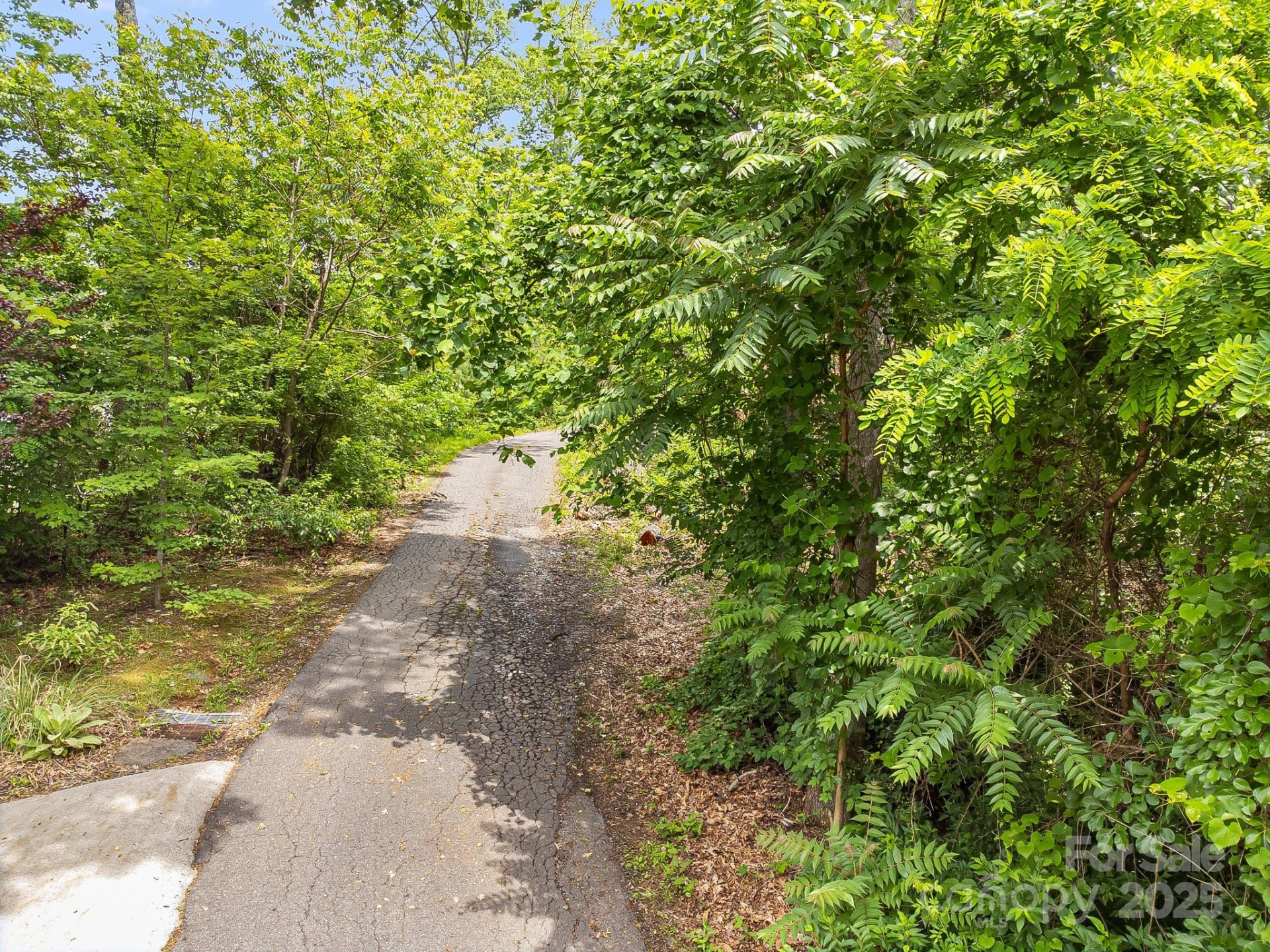 9999 Small Mountain Drive - Photo 4