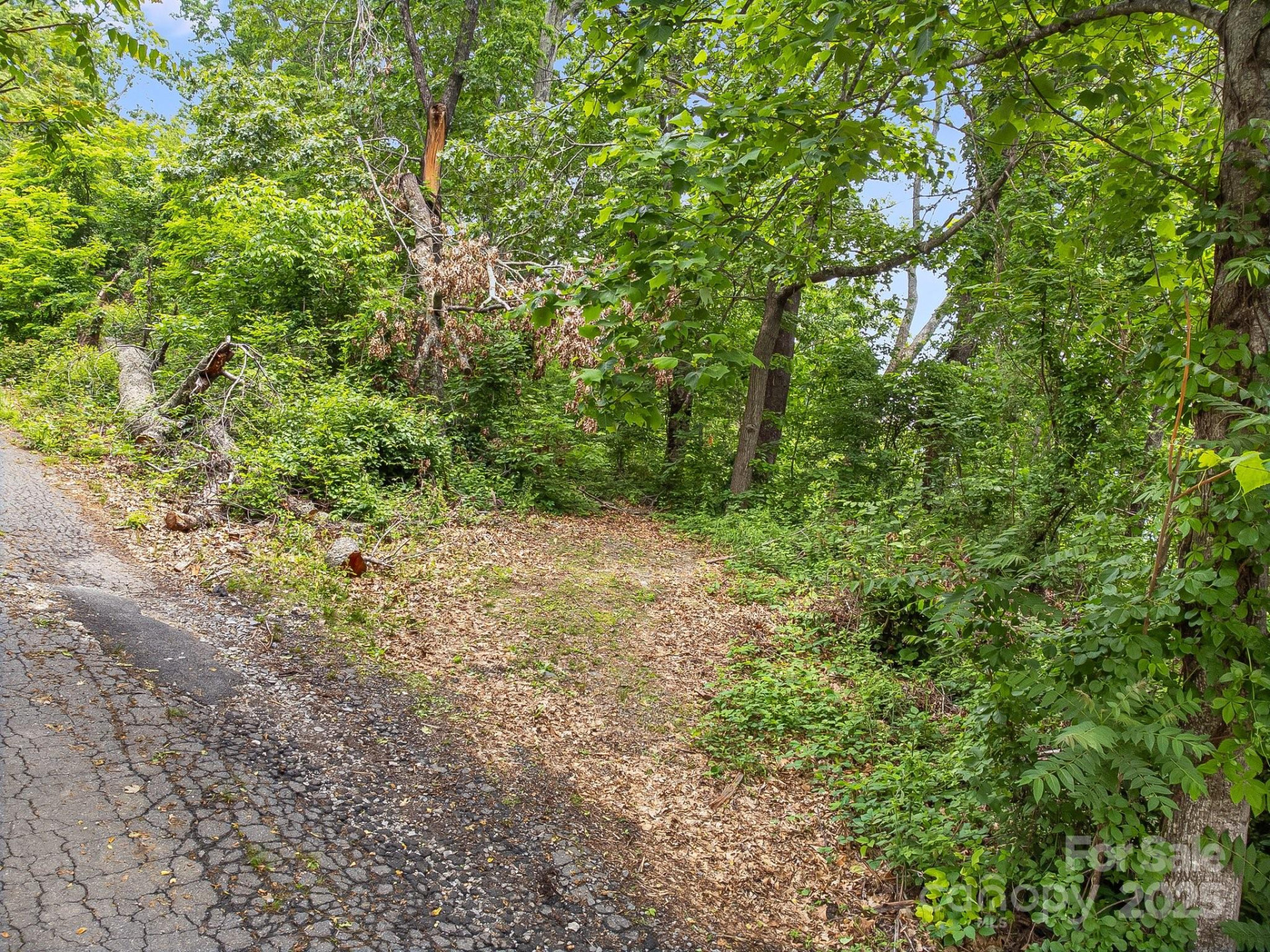 9999 Small Mountain Drive - Photo 5