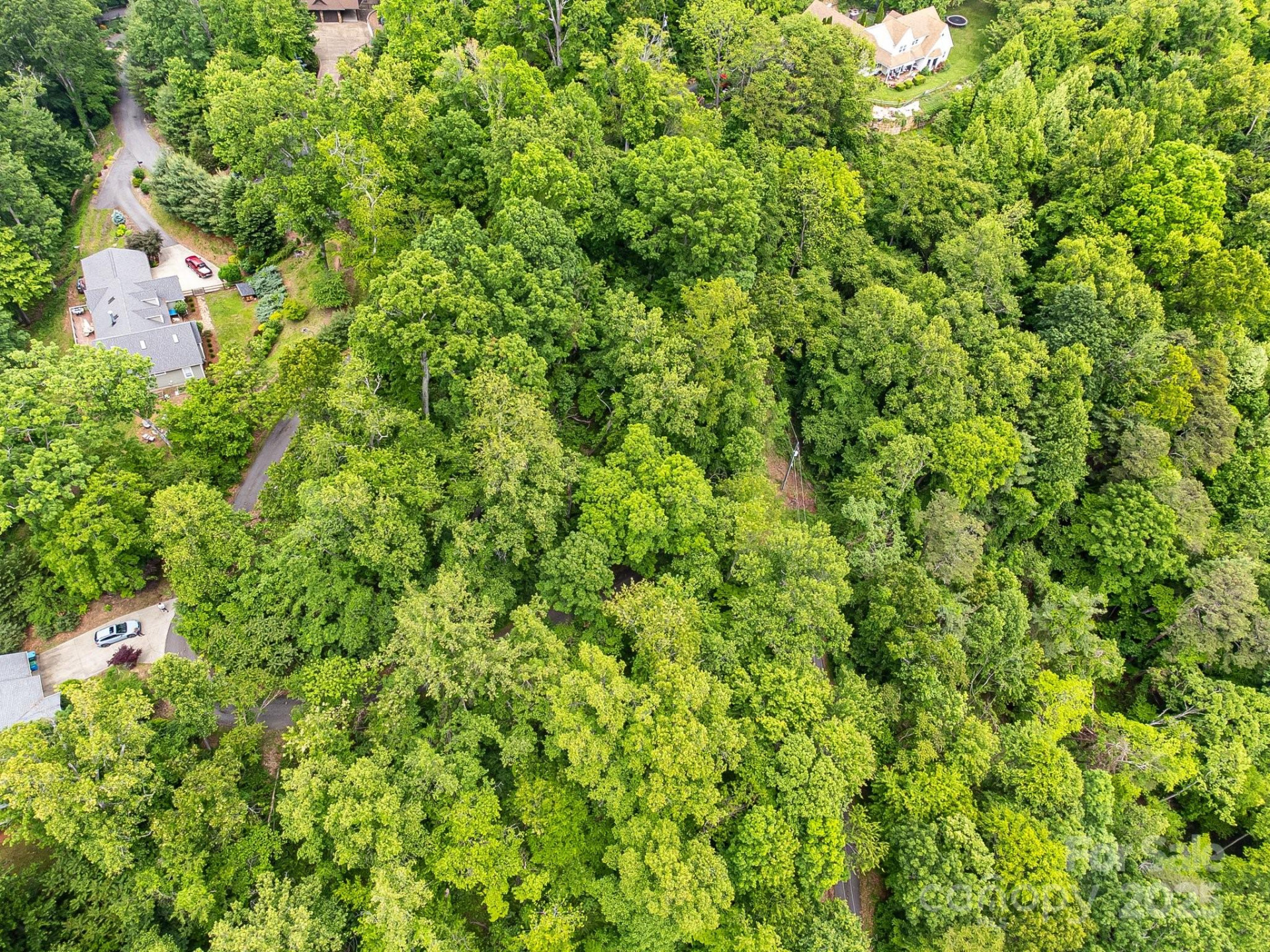 9999 Small Mountain Drive - Photo 10