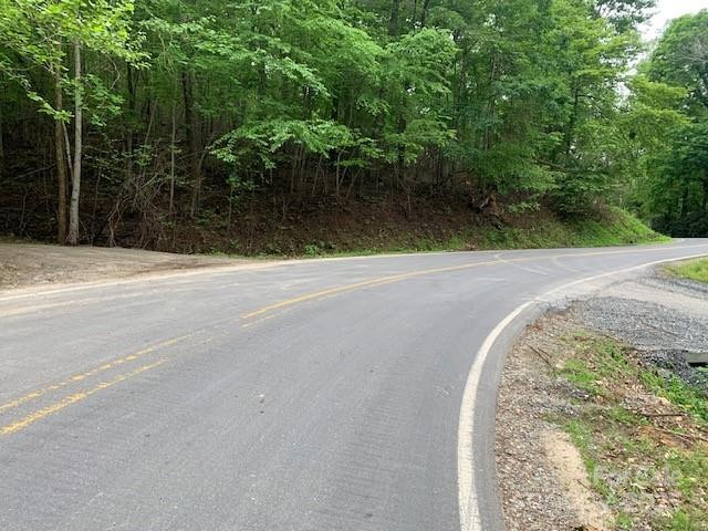 42.16 ACS GREEN RIVER COVE Road #42.162 AC. - Photo 2