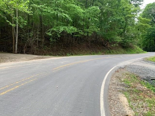 42.16 ACS GREEN RIVER COVE Road #42.162 AC. - Photo 2