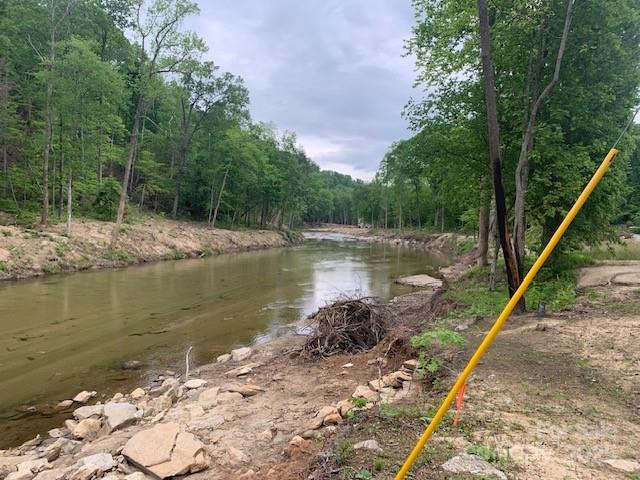 42.16 ACS GREEN RIVER COVE Road #42.162 AC. - Photo 11