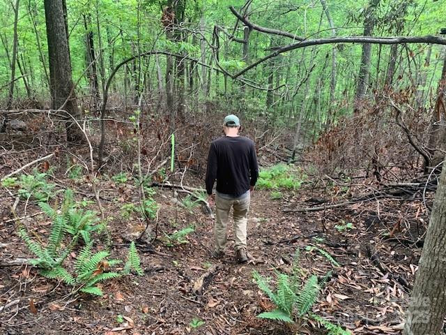 42.16 ACS GREEN RIVER COVE Road #42.162 AC. - Photo 14