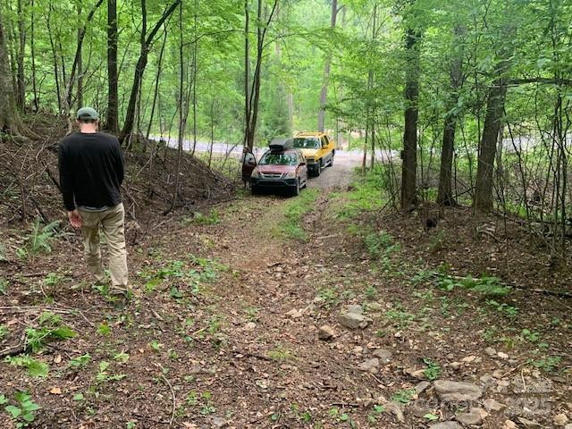 42.16 ACS GREEN RIVER COVE Road #42.162 AC. - Photo 15