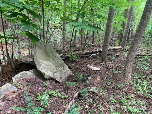 42.16 ACS GREEN RIVER COVE Road #42.162 AC. - Photo 18