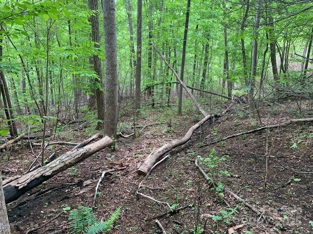 42.16 ACS GREEN RIVER COVE Road #42.162 AC. - Photo 19