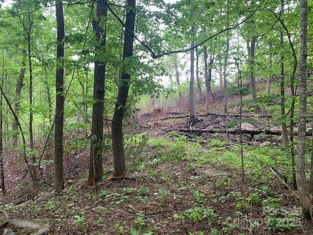 42.16 ACS GREEN RIVER COVE Road #42.162 AC. - Photo 20