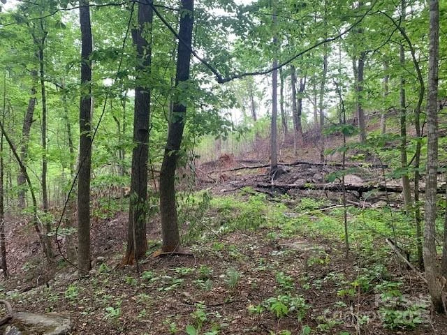 42.16 ACS GREEN RIVER COVE Road #42.162 AC. - Photo 20