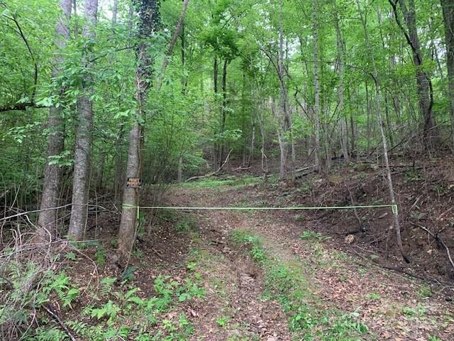 42.16 ACS GREEN RIVER COVE Road #42.162 AC. - Photo 3