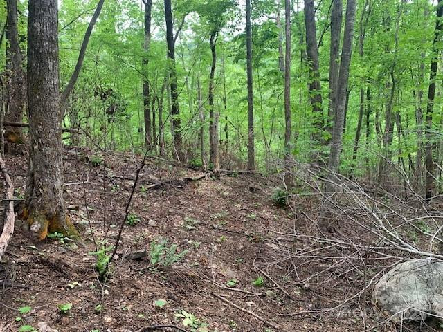 42.16 ACS GREEN RIVER COVE Road #42.162 AC. - Photo 22