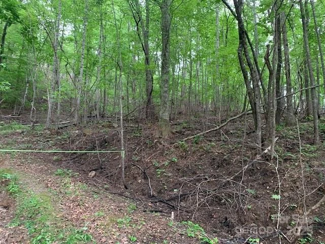 42.16 ACS GREEN RIVER COVE Road #42.162 AC. - Photo 4