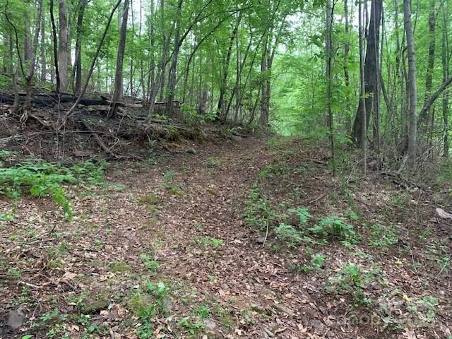 42.16 ACS GREEN RIVER COVE Road #42.162 AC. - Photo 5