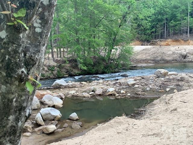 42.16 ACS GREEN RIVER COVE Road #42.162 AC. - Photo 6