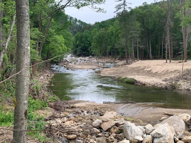 42.16 ACS GREEN RIVER COVE Road #42.162 AC. - Photo 7