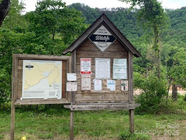 42.16 ACS GREEN RIVER COVE Road #42.162 AC. - Photo 8