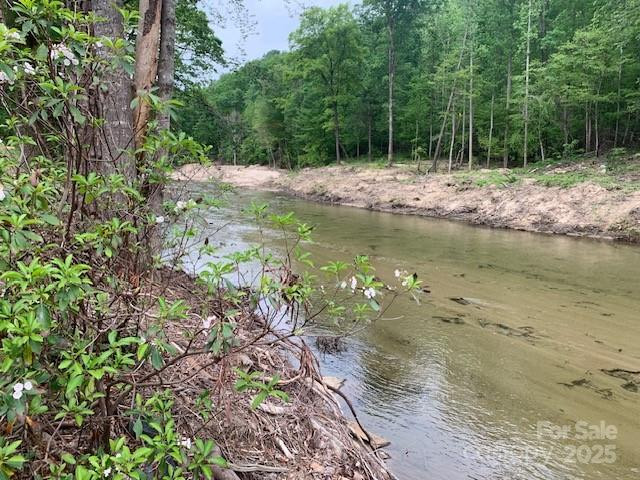 42.16 ACS GREEN RIVER COVE Road #42.162 AC. - Photo 9