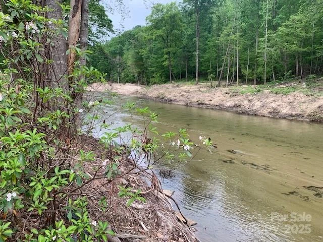 42.16 ACS GREEN RIVER COVE Road #42.162 AC. - Photo 9