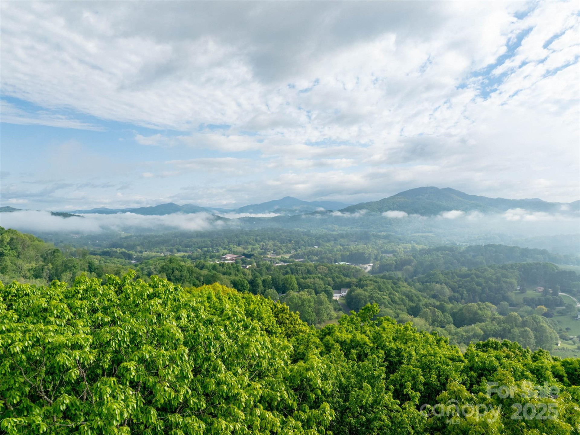 0000 Belmont Drive - Photo 11