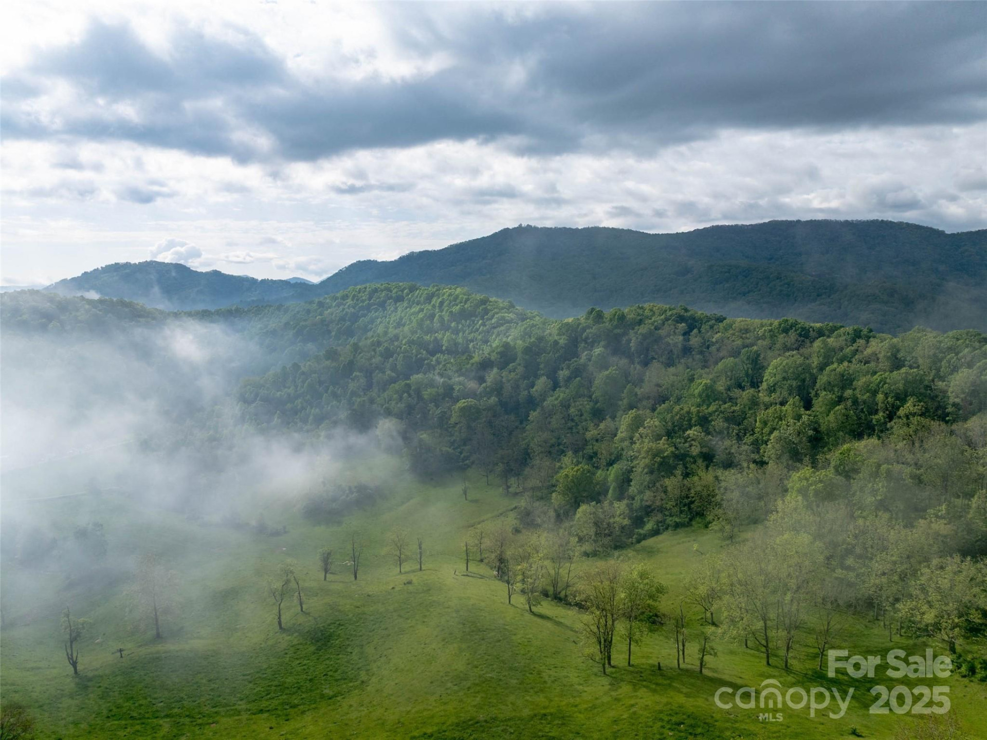 0000 Belmont Drive - Photo 9