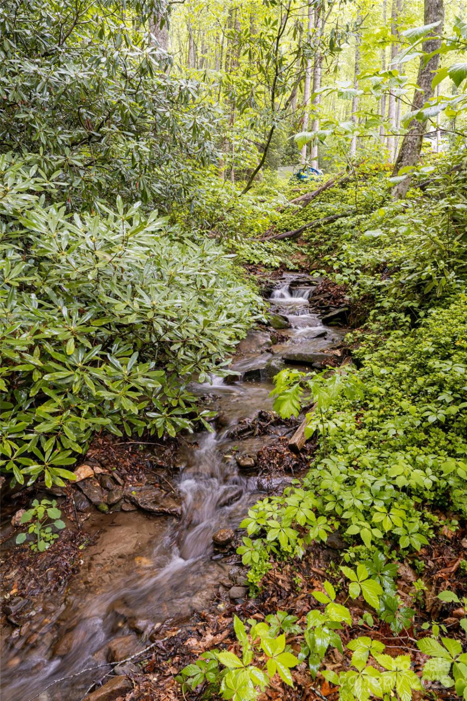 5 Creekside Drive - Photo 16