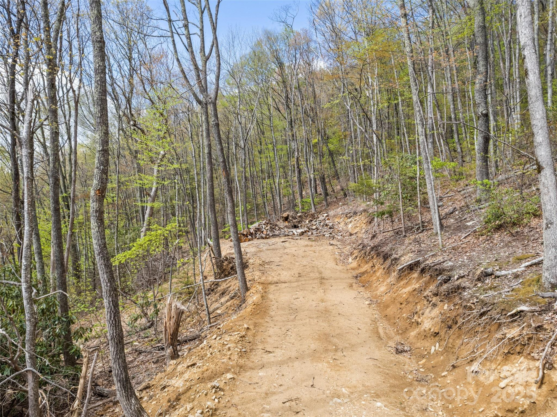 Lot G-44 Odalu Trail #G-44 - Photo 3