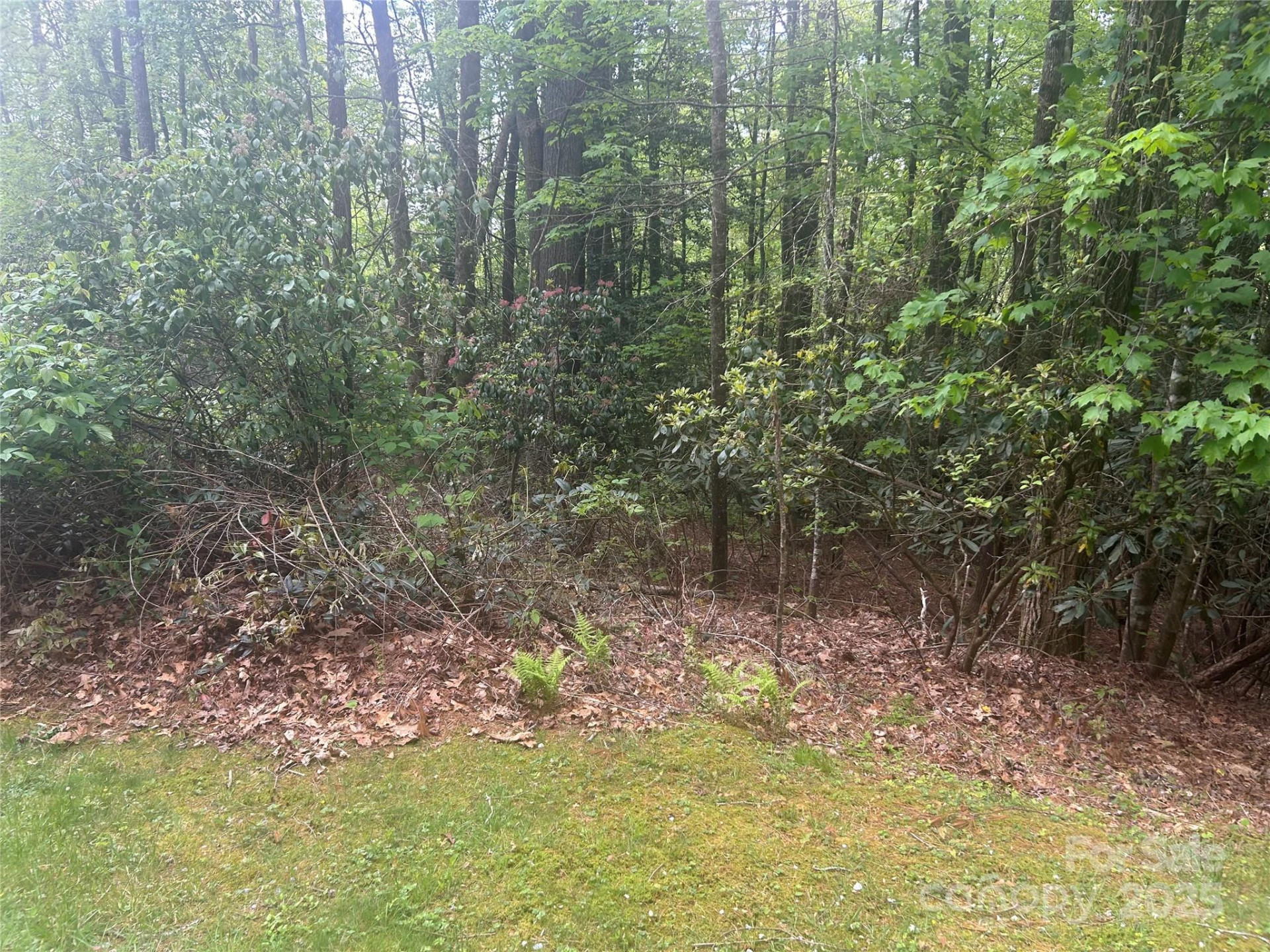 TBD Upper Whitewater Road - Photo 2