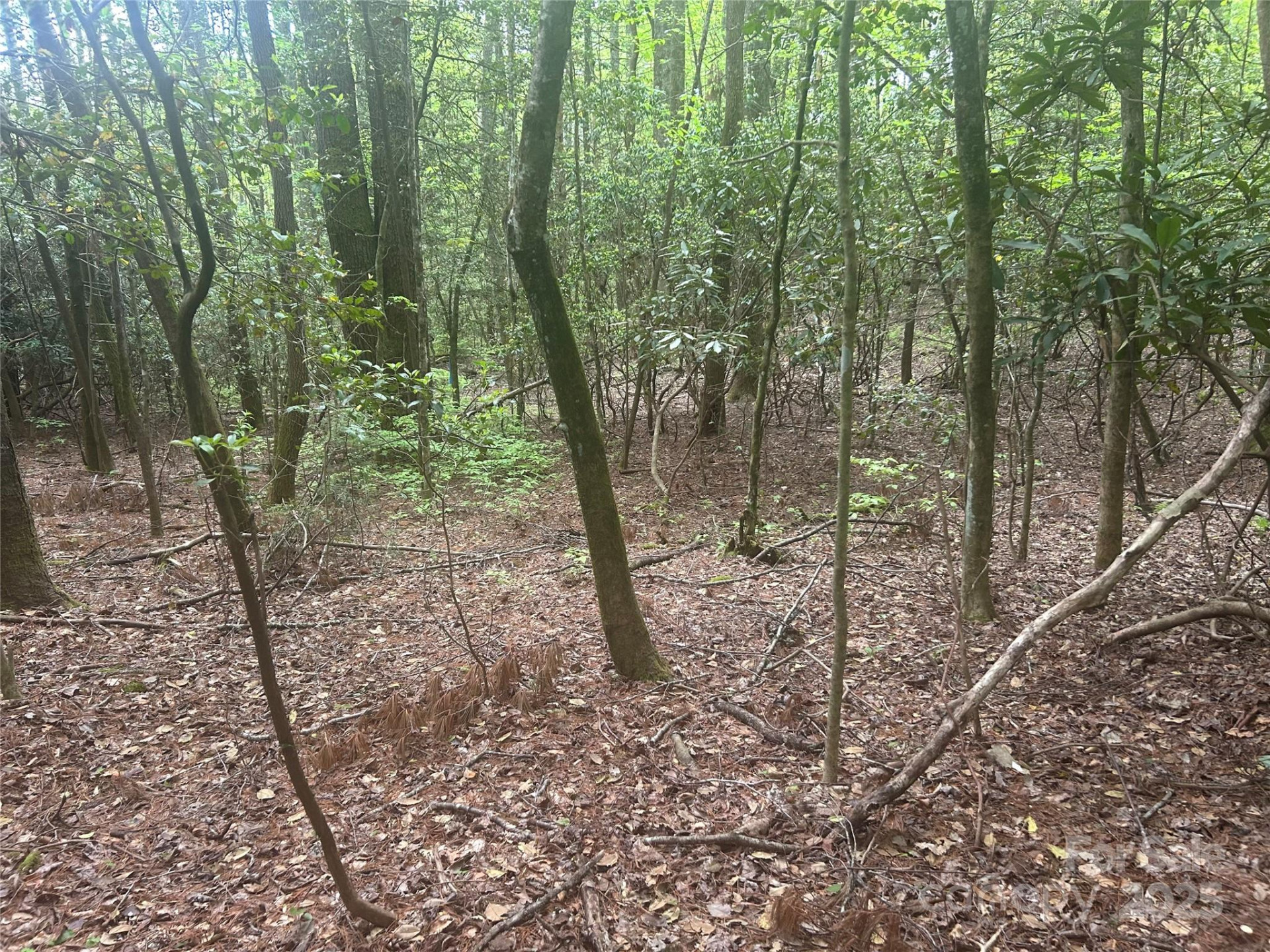 TBD Upper Whitewater Road - Photo 5