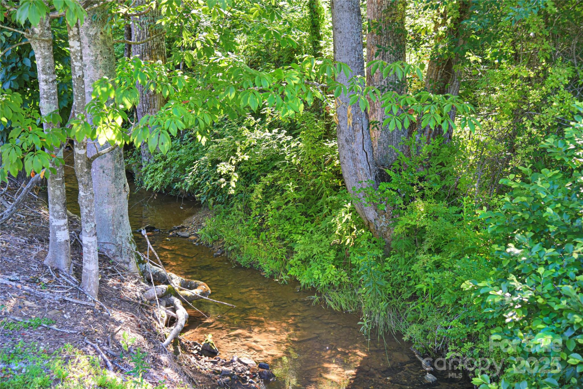 14622 226 Highway - Photo 35